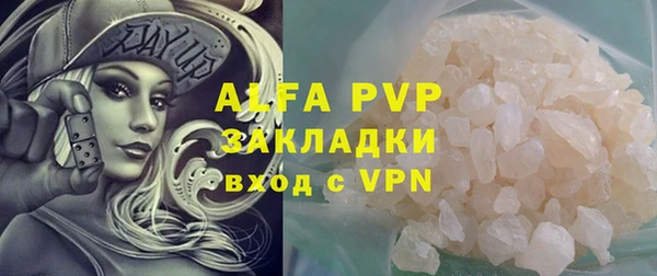 стафф Ладушкин