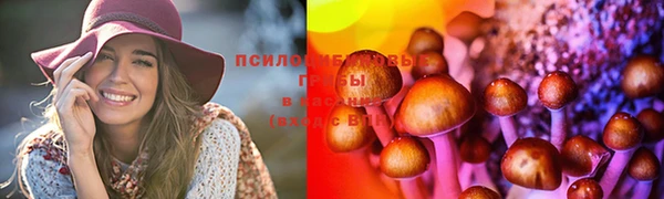 МДПВ Лагань