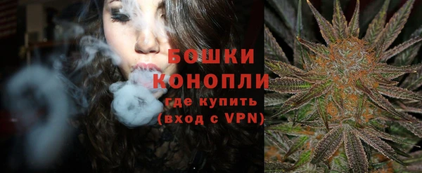 стафф Ладушкин
