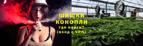 стафф Ладушкин
