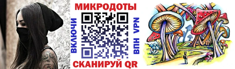 купить  цена  Михайлов  Галлюциногенные грибы Psilocybe 